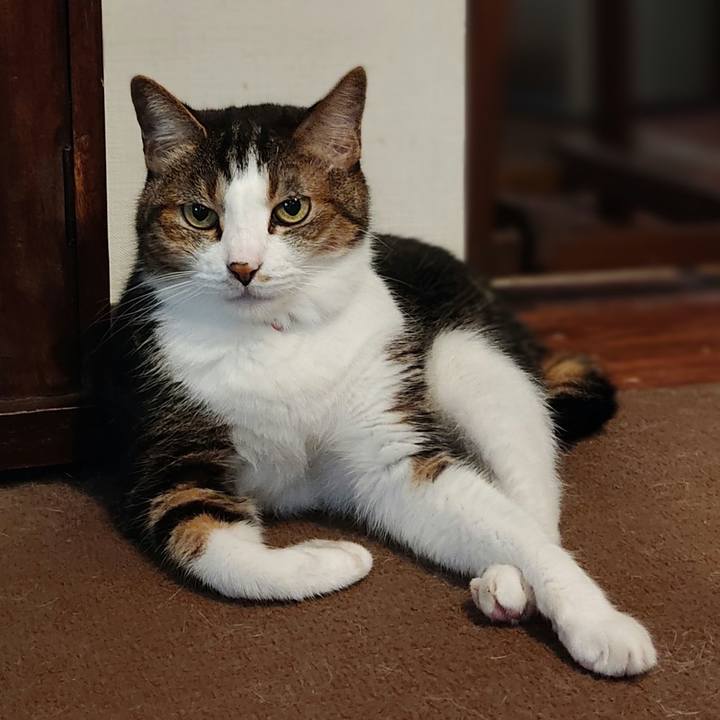 3c7e9641 049c 425c 9ca9 bba45c8c9a47 1662892311700