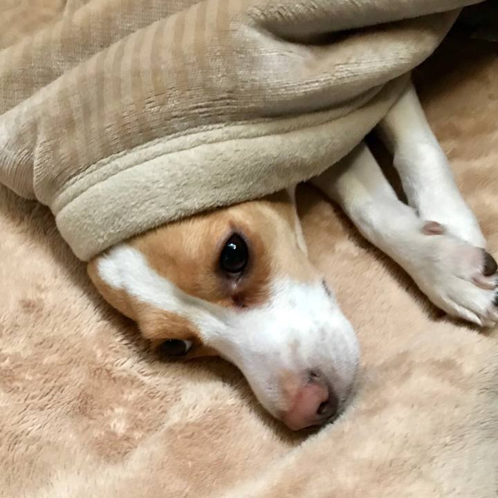 3c7eb319 e371 4b60 a755 ebadc4d79f7e 1556178331694