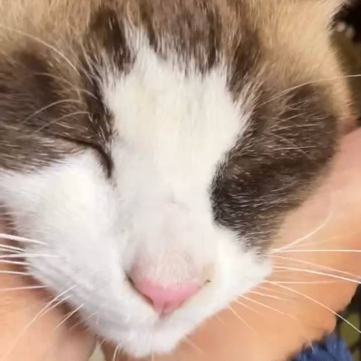 3c7eb79b fa56 4663 a392 7a7c1362fbc0 1732422998067