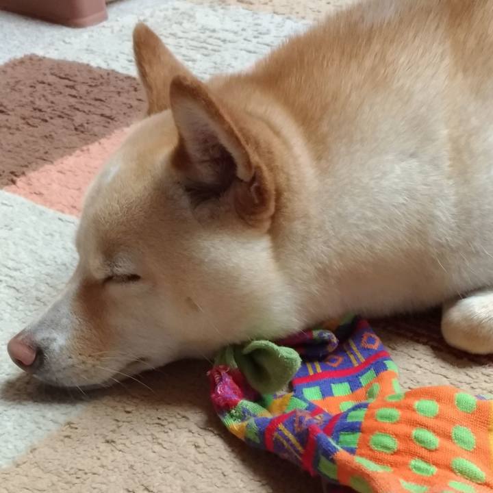 3c7ede94 6dce 4034 8cb4 6414cbb7135d 1554625029687