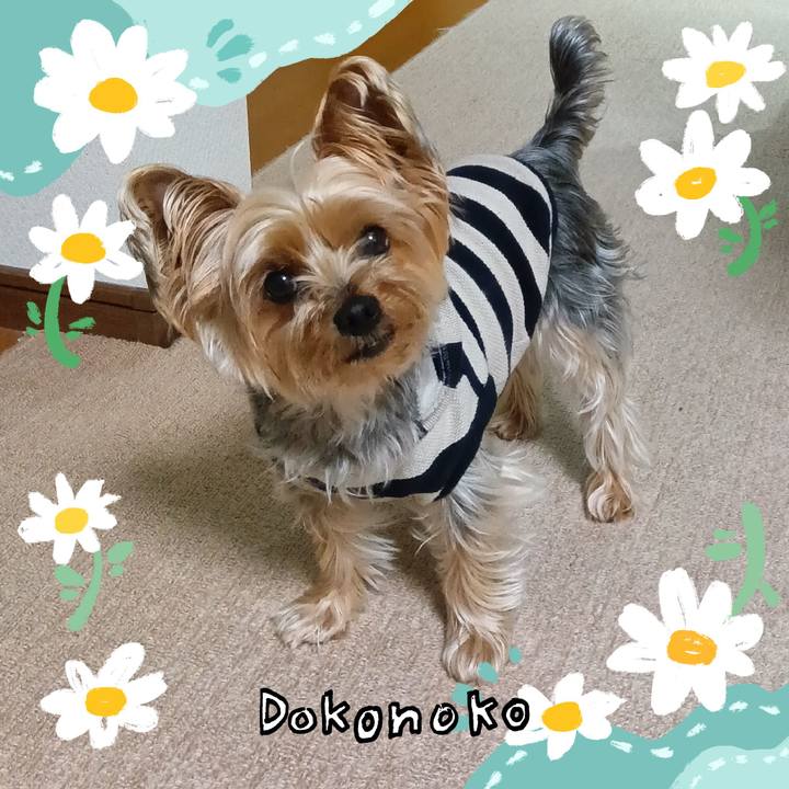 3c7ee787 b547 4b0a 9597 9be3a8213e81 1712320799234