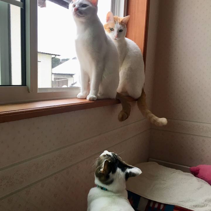 3c7f3596 032f 490d b2c8 8dd81d742502 1518392653000