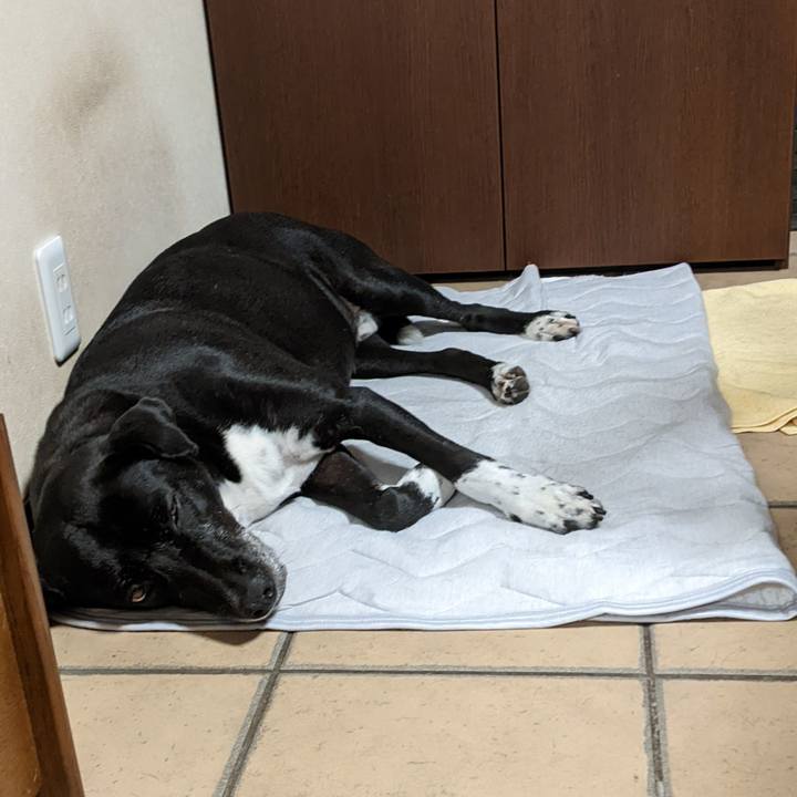 3c7f456d 5b1a 48fa 9d2a 70cfb4a00f6a 1689120560981