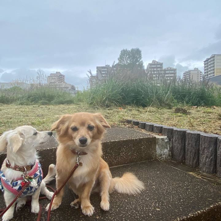 3c7f4667 d2af 413b b78d fb245947ba33 1633570308553