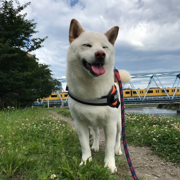 3c7f52f3 96a6 45de 8321 705bc8caad9f 1530056957170