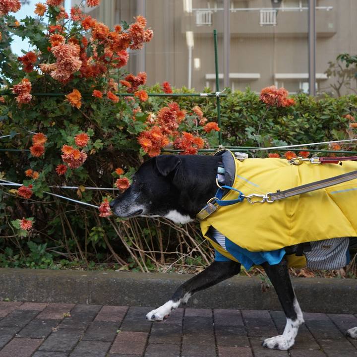 3c7f5a1c dd5b 4d2c 997a 69af73665a59 1765846996665