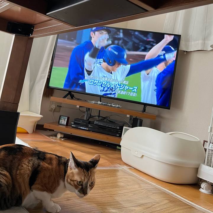 3c7fa8d2 5423 4358 9869 cd11d1e5c836 1760060440942