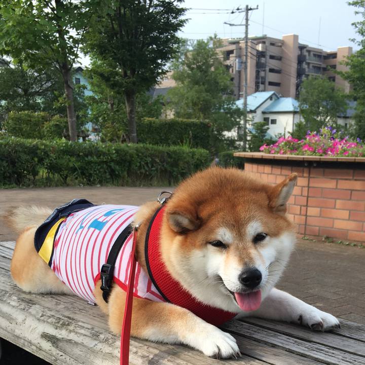 3c7fae61 f8ab 4b8d 92ba 3e8a3652f863 1596844397521