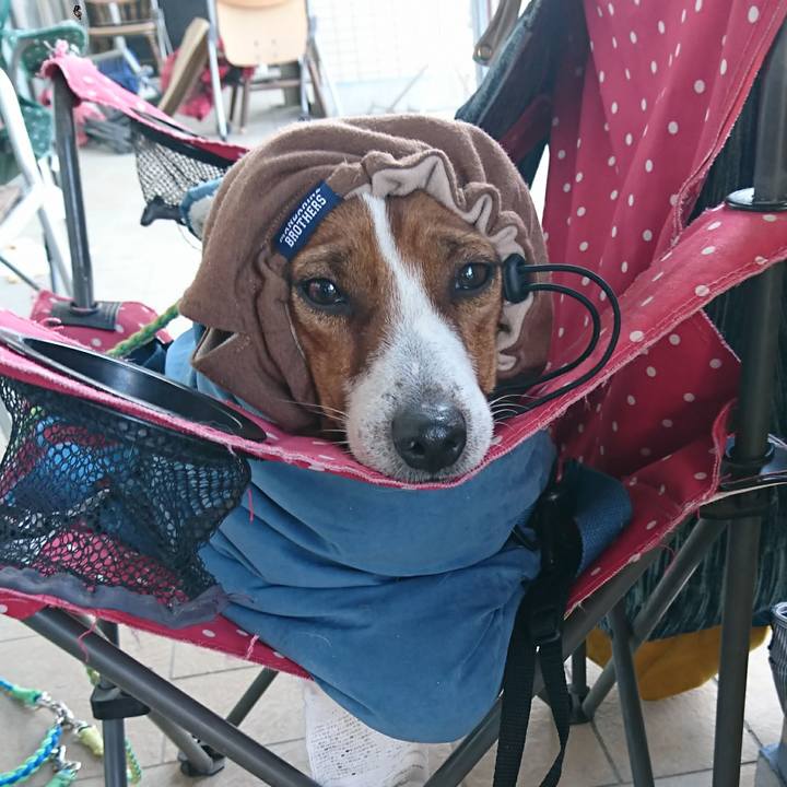 3c7fc69d b9ed 4674 bcc2 a6949b8939c2 1612342864384