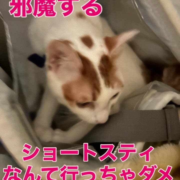 3c7fc70f db35 4be0 9db5 36fa97f98cea 1761668114442