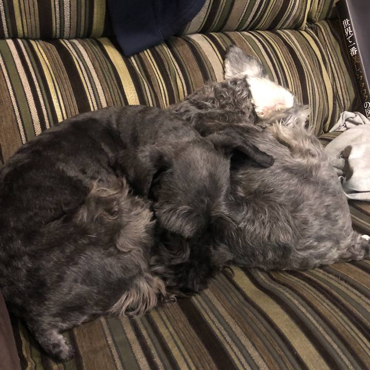 3c800177 7b94 4006 ac45 95971e00e04f 1518097139265