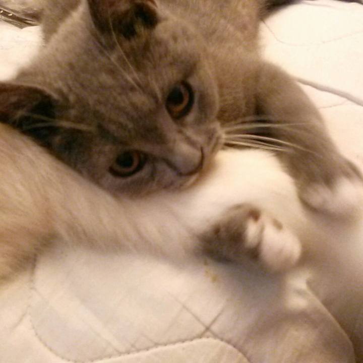 3c803cba 690f 4375 bec3 2fe8bd3481db 1533855798094