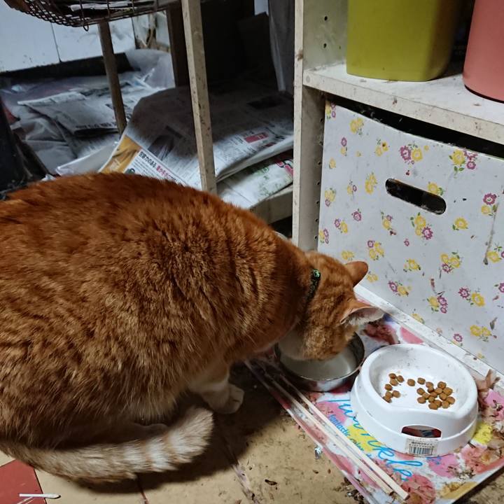 3c80520b 5cf3 496d 9e15 73a70bfe2973 1580888469391