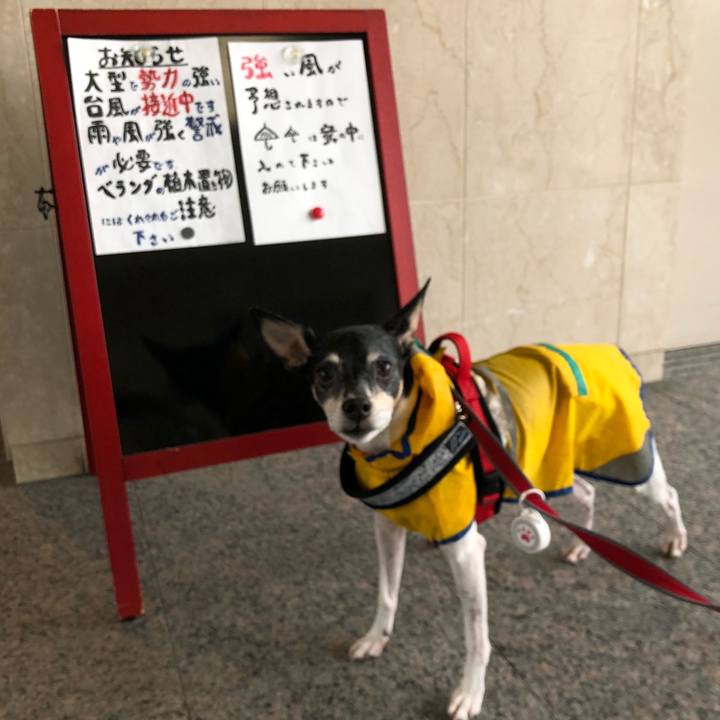 3c807586 d3c6 40ba 8b64 15e5b90ba635 1538189092494