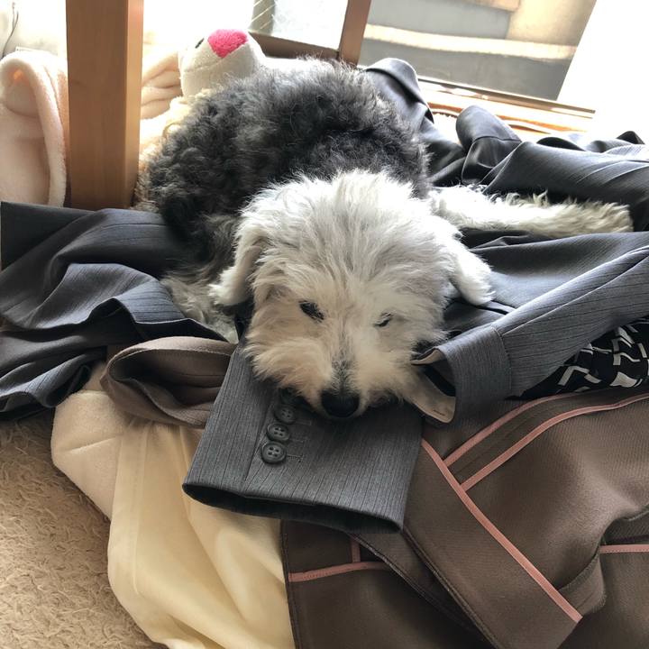 3c809f70 660a 4af2 9797 09f93b71ddf7 1666498086365