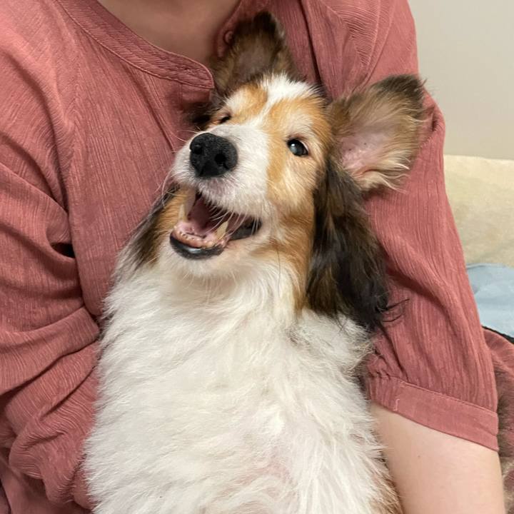 3c80a02e 3ee1 4537 b81d 55dfbc494406 1659003182495