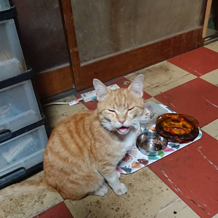 3c80a4a1 37f6 470a afb9 1cda3b980467 1589533971103