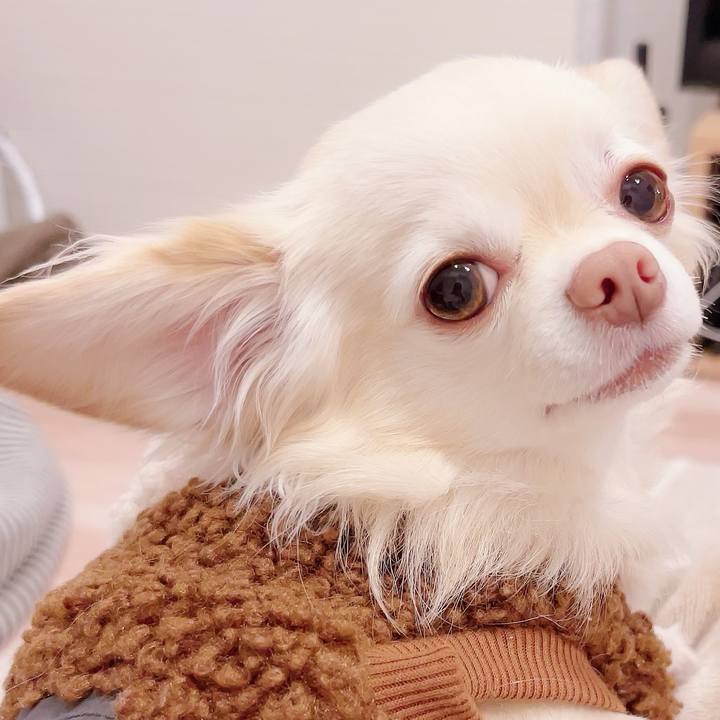 3c80a543 014d 4e62 bf68 e3379a3f9b6d 1702044584569