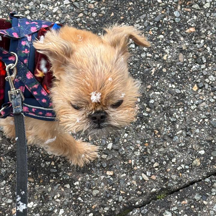 3c80b35e e687 4744 800a 141dcb8b6c46 1740394218146