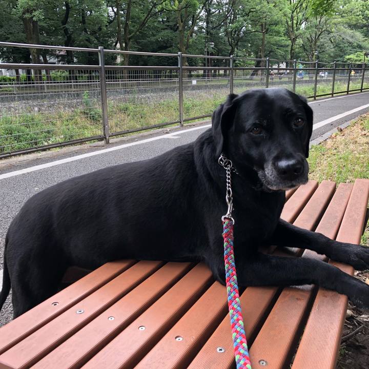 3c80b879 082e 4644 992e 332e33ef545e 1528940687937