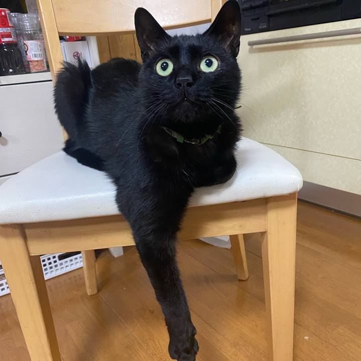 3c80dff0 6a06 43f5 a032 059538957b41 1685105624192