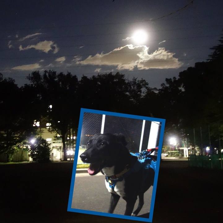 3c80e7c8 8f9b 45b8 9016 f16d5ee30c45 1634727928339