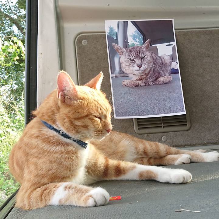 3c813ad6 f186 4135 b3f5 0cc113b02059 1600670384463