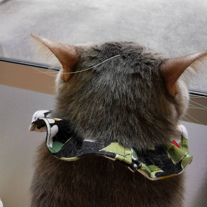 3c8175b2 d6a9 41fe 85d2 9c0a6fbfe3fb 1675921360043