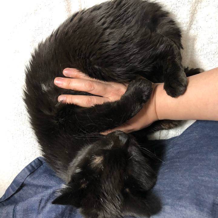 3c81a245 5239 4729 a1fa abc0ad1fc695 1618055236850