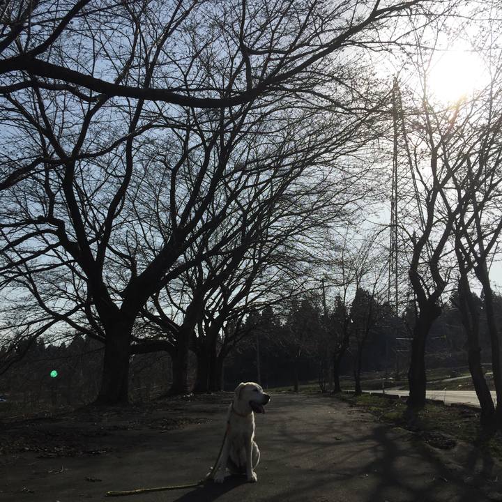 3c81ba51 bc13 43bc 9059 3a3bc9e8653c 1522740396362