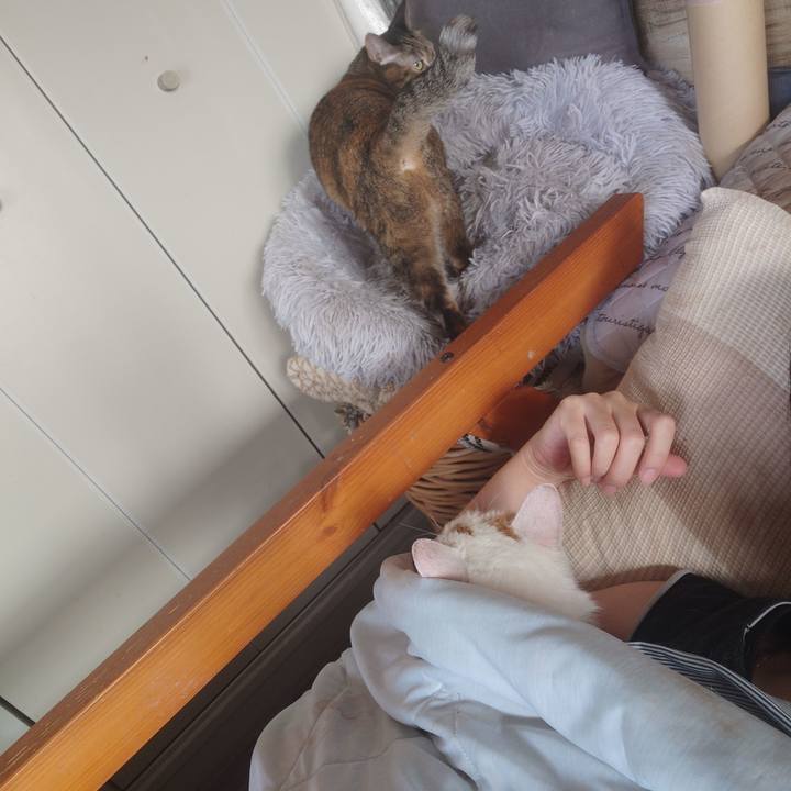 3c81e2f2 83ed 4845 a4d5 29a271d972da 1759366947739