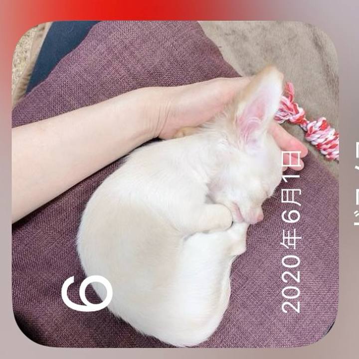 3c8204ab b9da 4a43 81bb 24631fcf7a4e 1717686313361