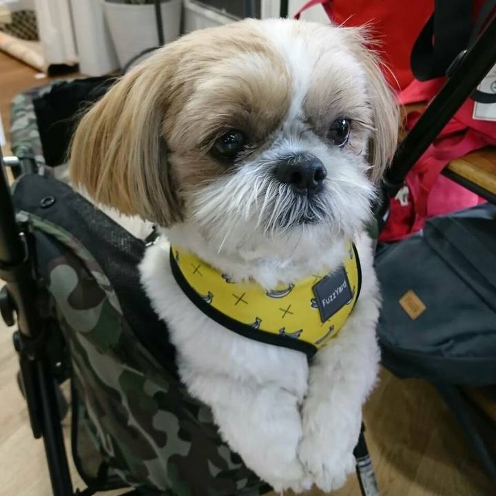 3c829092 4bf7 4839 87f4 e66970af5906 1558238631607