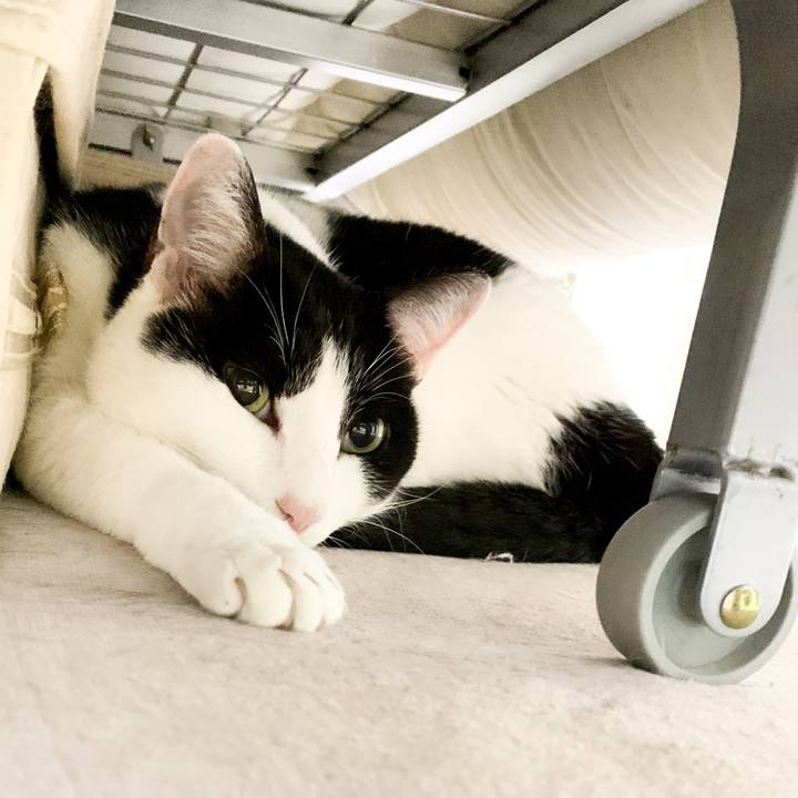 3c82cd40 6916 4975 b2dd 92f8058f82db 1547170226725