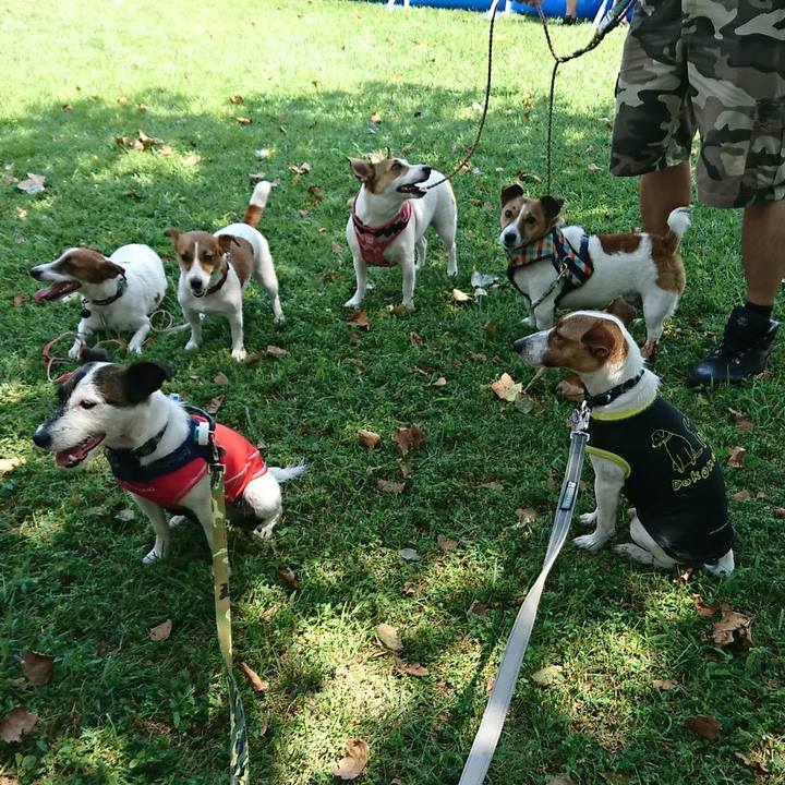 3c82d09a ba42 4c6b 98c4 c174b9062308 1533966434787