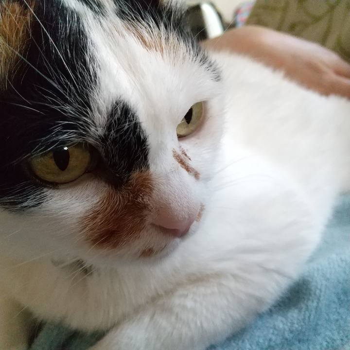 3c82d322 b554 4ccc a05e adcf03ec43b3 1616571647630