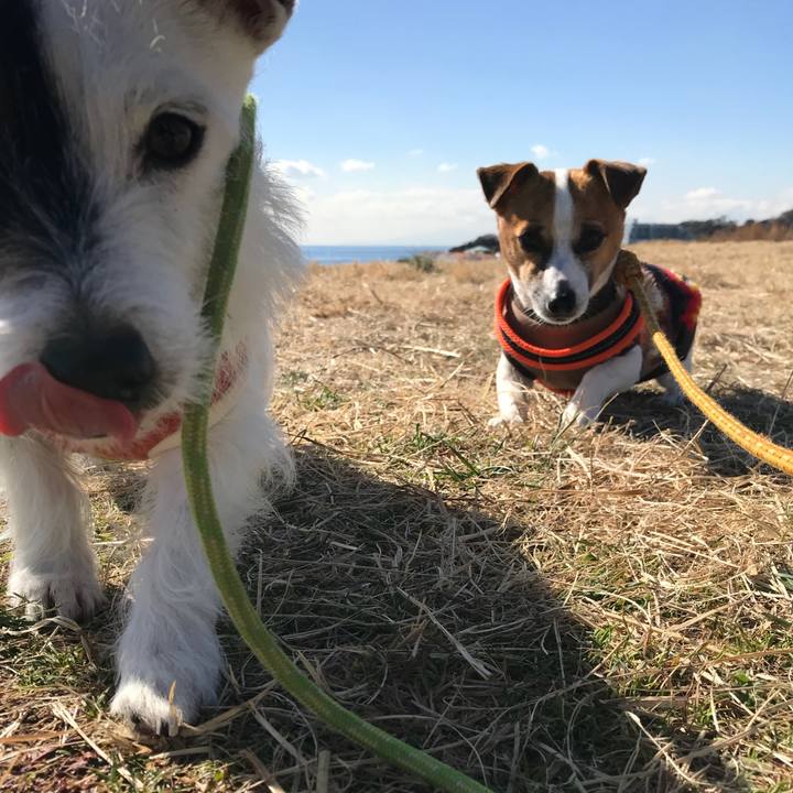 3c82dffc a61c 47aa 8a6d 46e9fad1296b 1516934785138