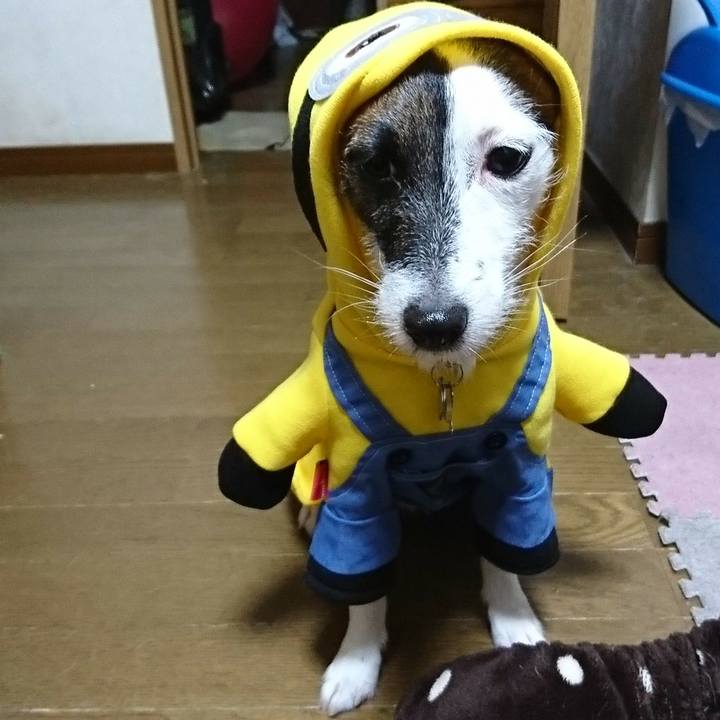 3c82e1c8 1774 4a25 97f3 402c4c6cc9eb 1509451422456