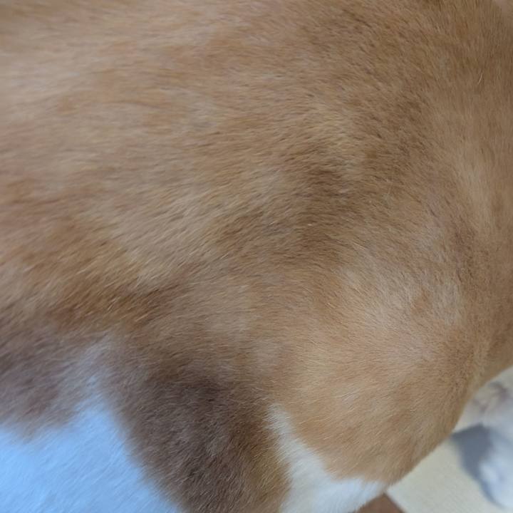 3c82e8be 2da9 4f61 a1dc 5f3c08f143bd 1752308628517