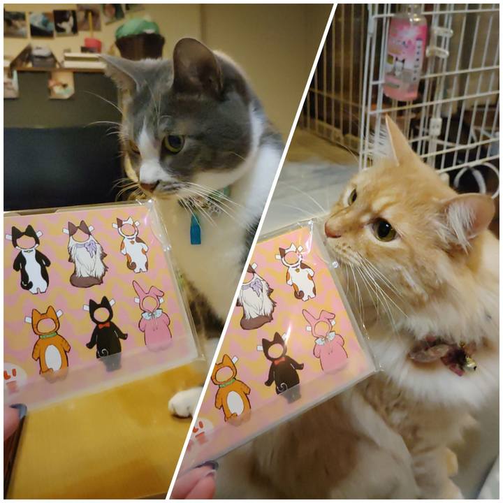 3c82efb6 6b08 442f 89db 8720a9d28de2 1671355342103