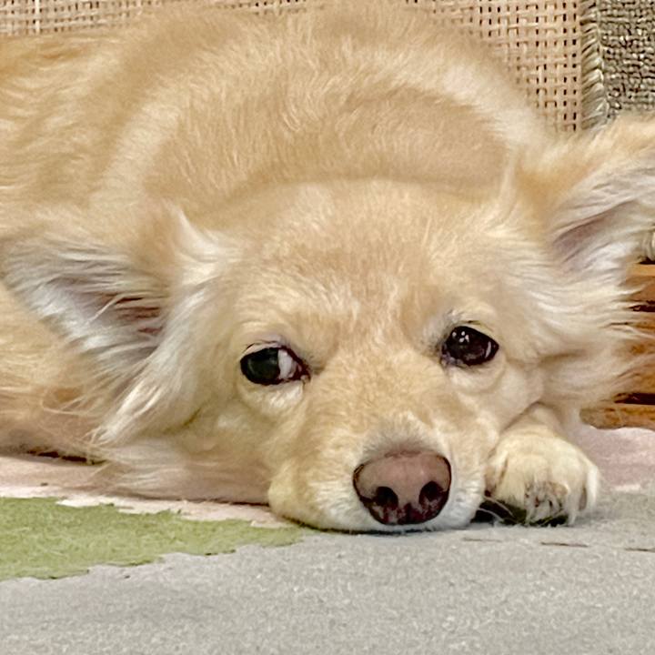 3c830f23 5edc 4a46 a40f a32efe3c0927 1757434576544