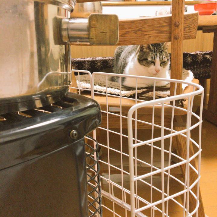 3c8334d5 fbb0 4ef9 a870 efd124d97786 1516793513940