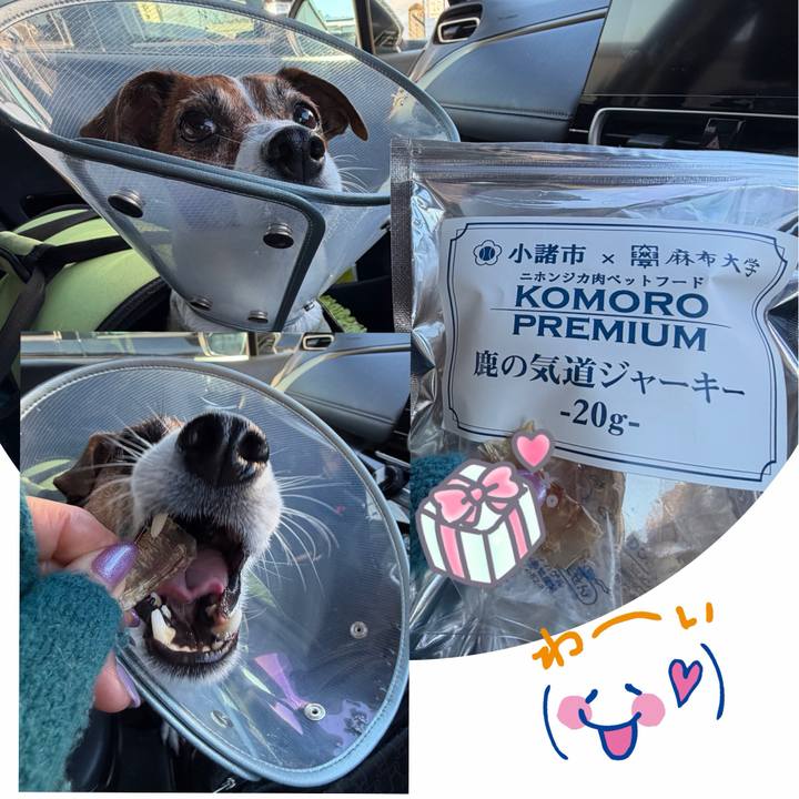 3c8339cc 706a 477c aa14 0f4da9212b0c 1766901370609