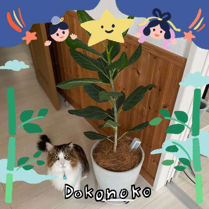 3c834945 71be 44b3 bb8c 1f5b07b0da9d 1720814909093