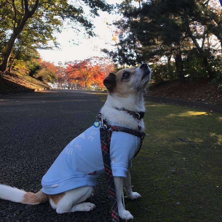 3c834d40 740b 498e b7fc 9872ff4995c8 1542959962354