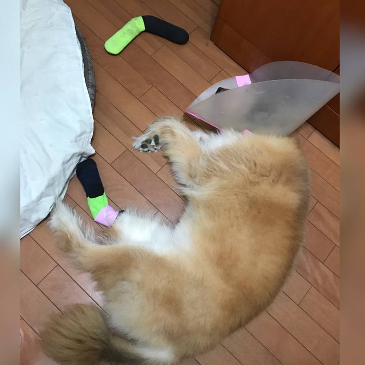 3c8352e0 6b15 4b8f 8b7f 6ab120fedb43 1662611175994