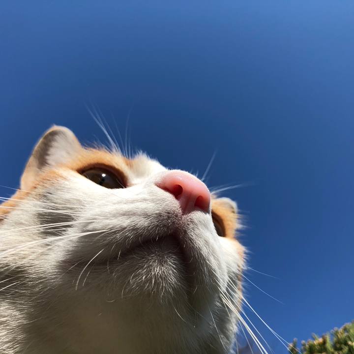 3c836aa9 f6d9 4c0c a2dd ae33df509368 1555198806177