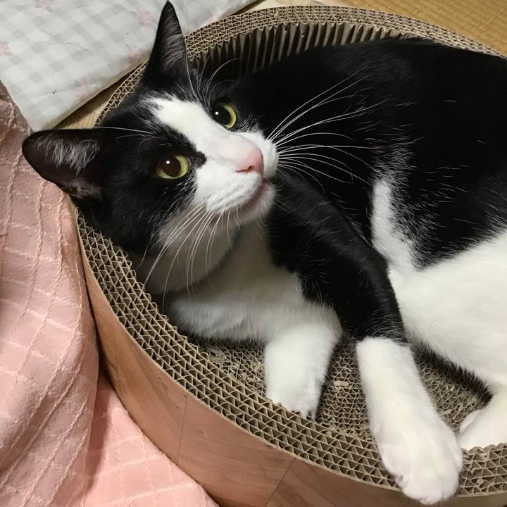 3c838f46 031d 4027 9639 59aa681e6527 1697798054242