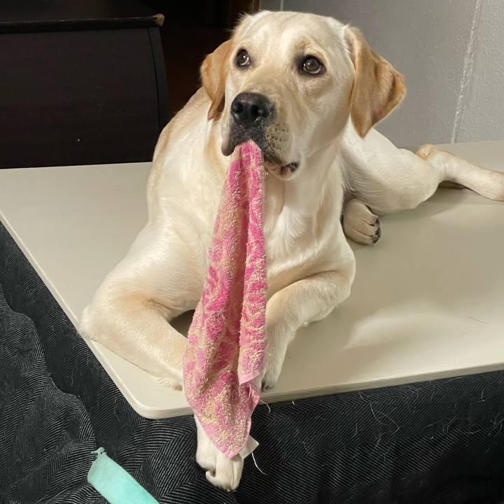 3c839794 5a34 46f8 85d4 bb3c91331312 1640729040673