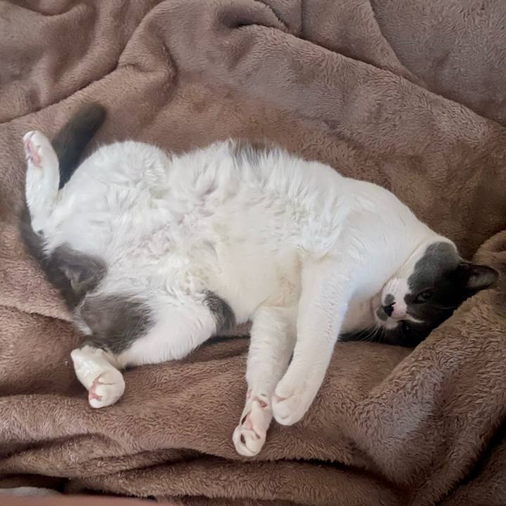 3c83ce28 ca1d 43ba ba0a 523af6c881c3 1682124333699